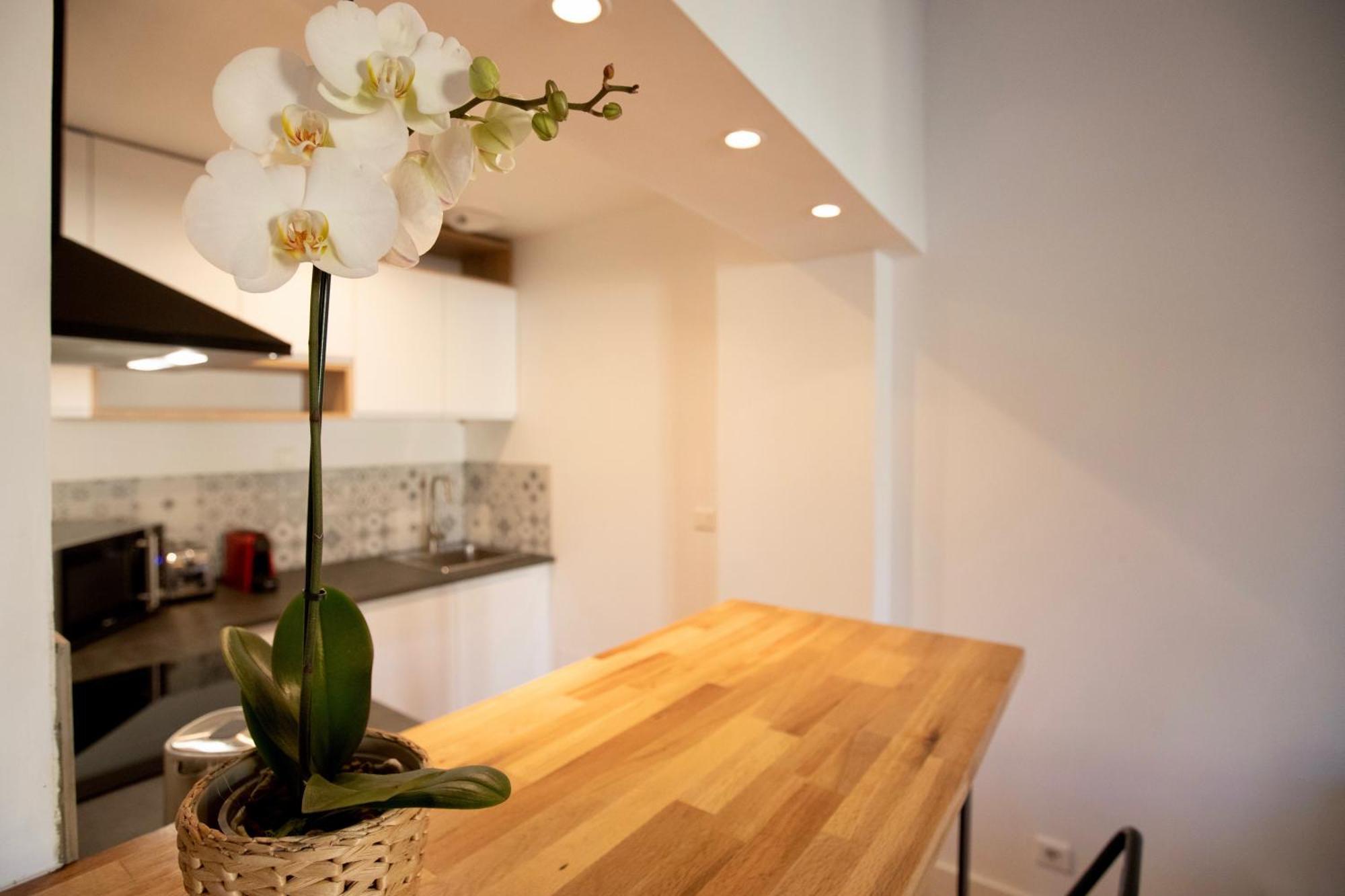 Home Chic Home - Les Toits De Sainte-Ursule モンペリエ エクステリア 写真